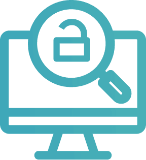 Cyber Audit