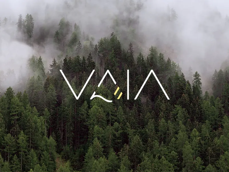 foresta alberi dolomiti Vaia