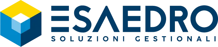 Logo Esaedro - soluzioni gestionali